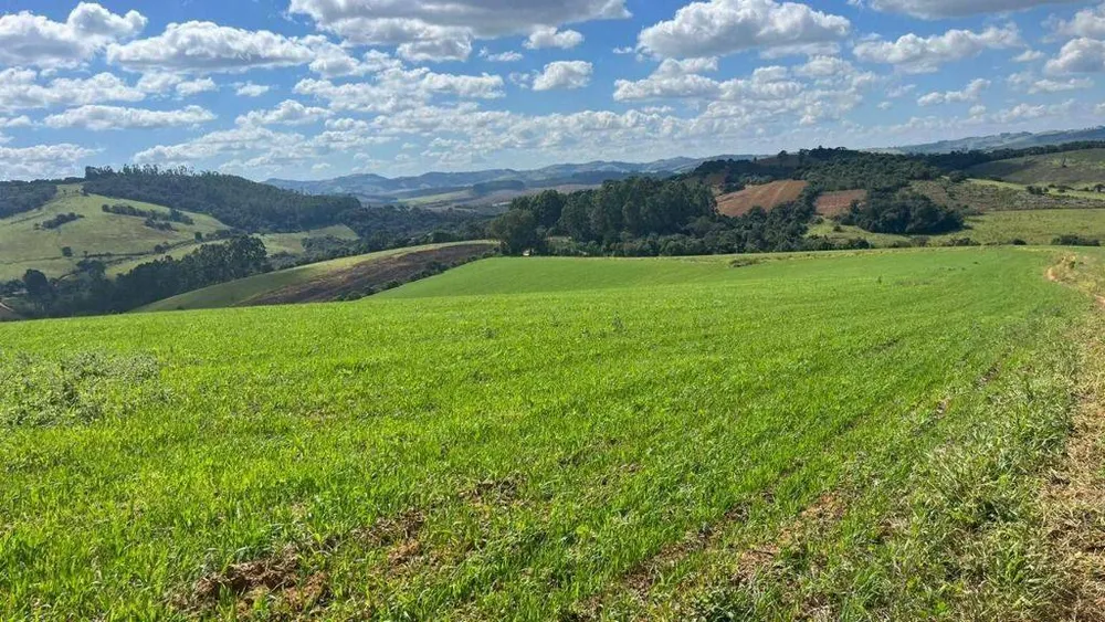 Fazenda, 339 hectares - Foto 1