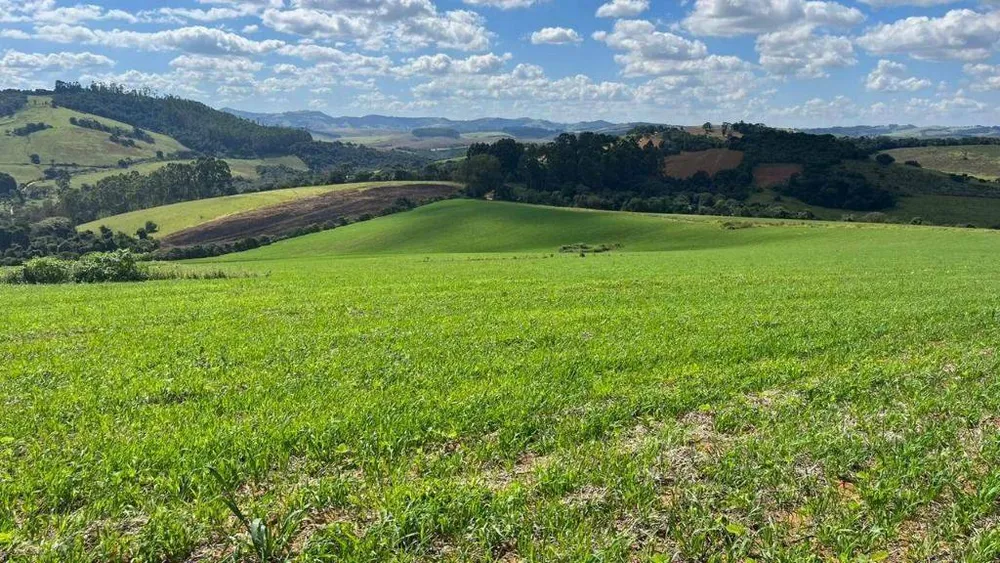 Fazenda, 339 hectares - Foto 4