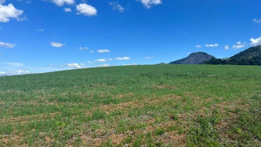 Fazenda, 339 hectares - Foto 2