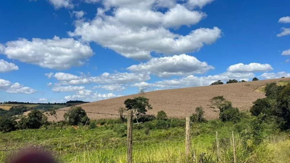 Fazenda, 339 hectares - Foto 6