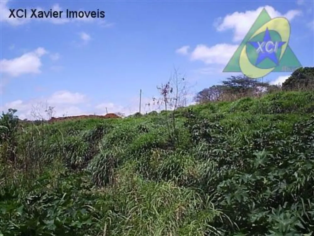 Terreno, 9000 m² - Foto 4