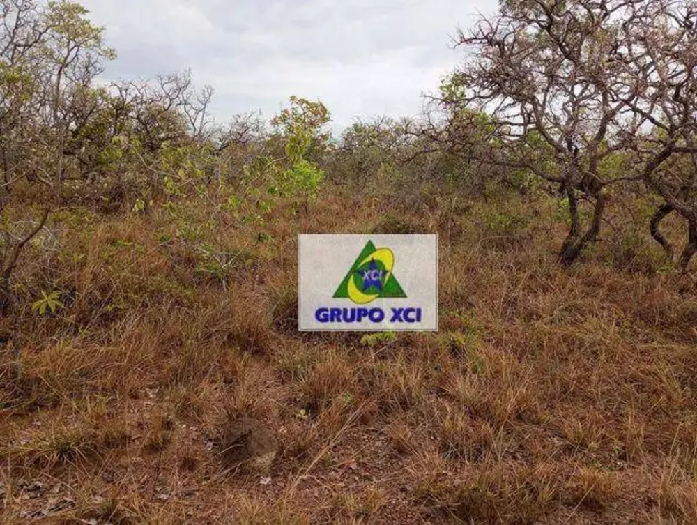 Fazenda, 387 hectares - Foto 9
