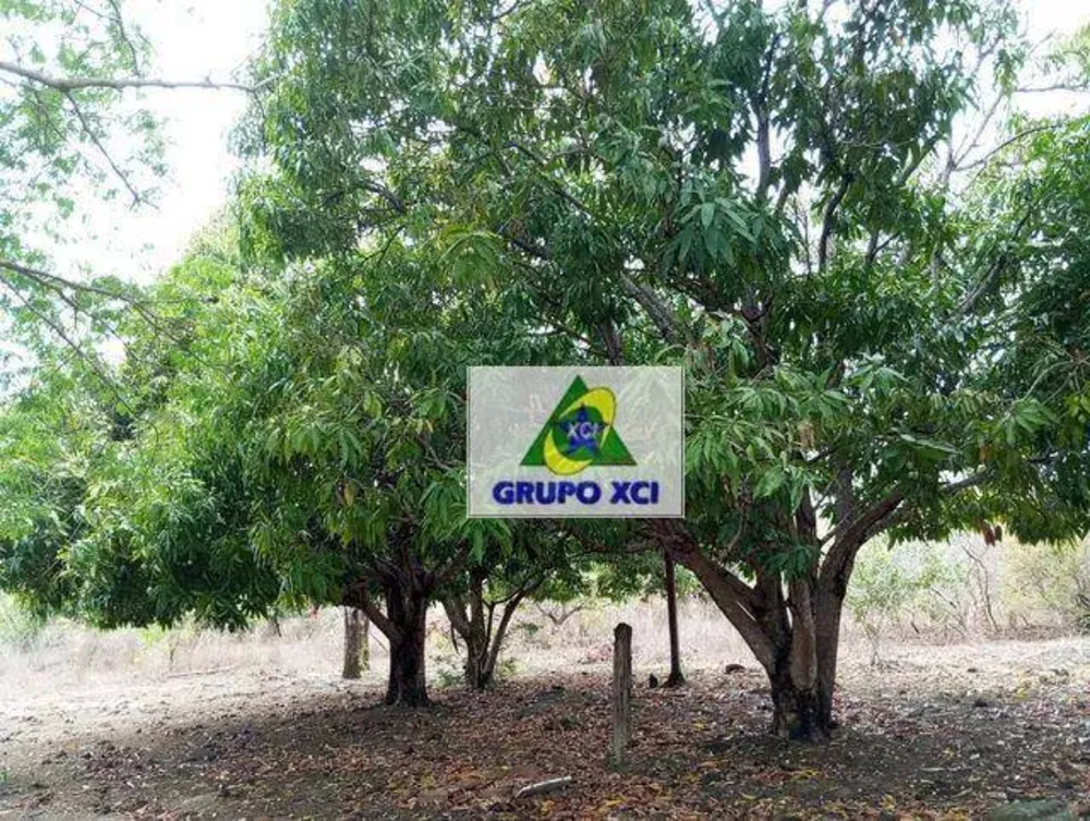 Fazenda, 387 hectares - Foto 5
