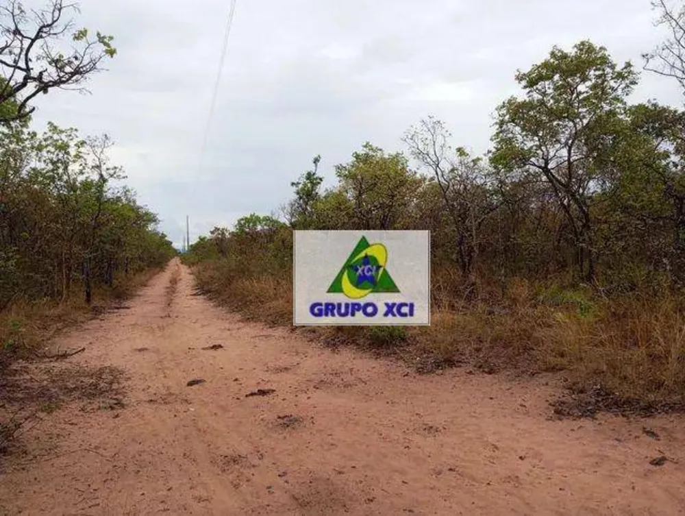 Fazenda, 387 hectares - Foto 10