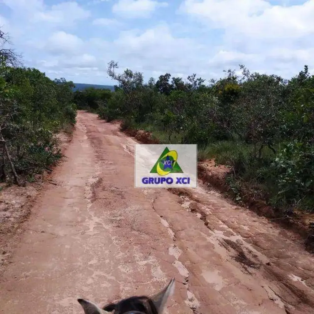 Fazenda, 387 hectares - Foto 6