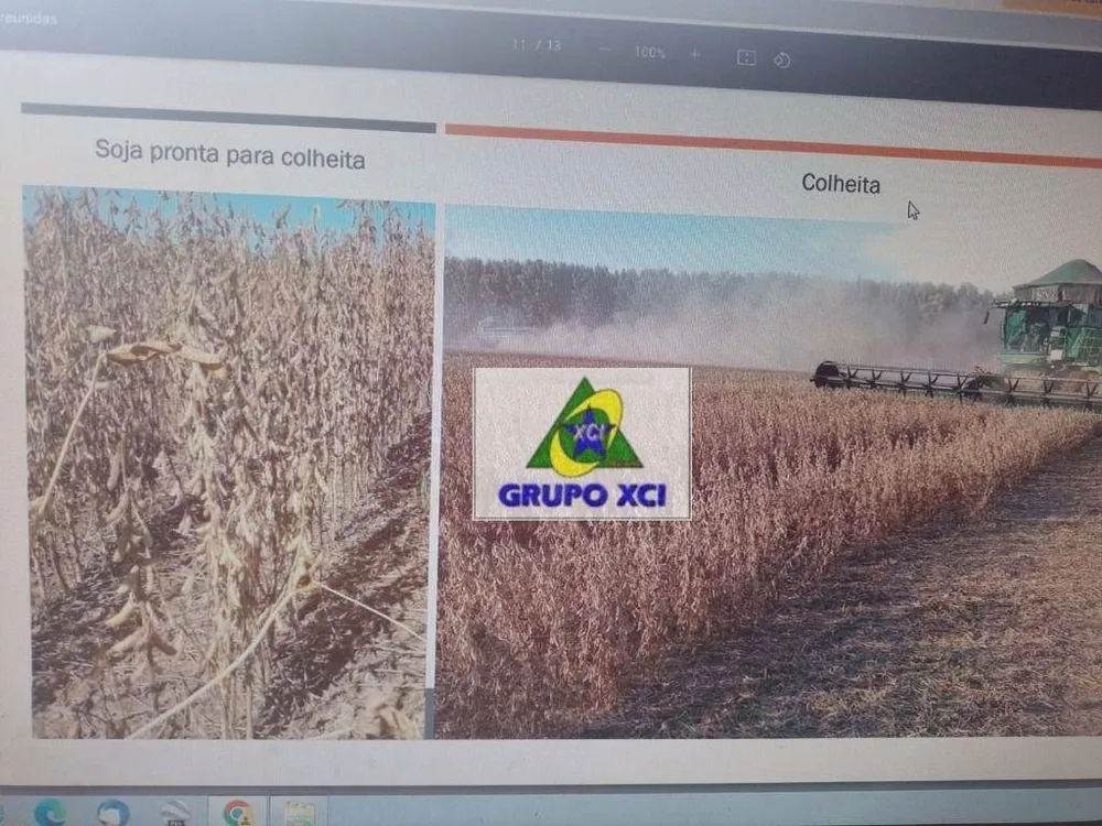 Fazenda, 938 hectares - Foto 3