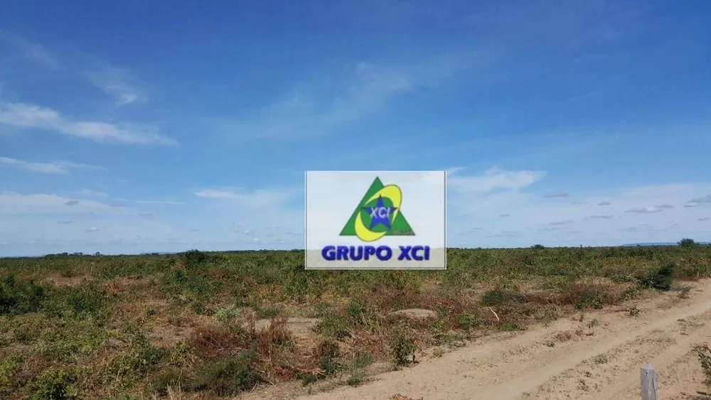 Fazenda, 7000 hectares - Foto 11