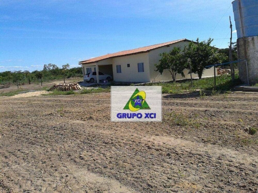 Fazenda, 7000 hectares - Foto 3