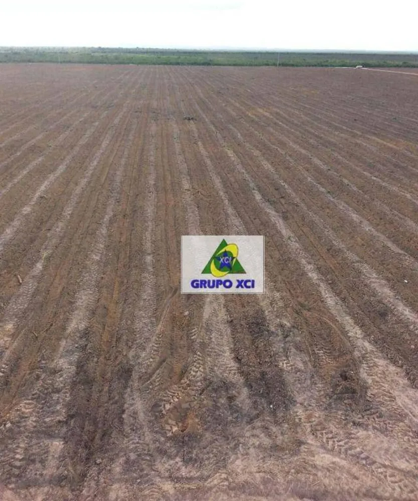 Fazenda, 7000 hectares - Foto 1