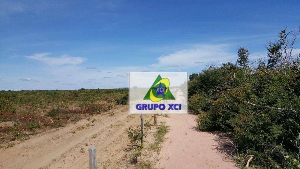 Fazenda, 7000 hectares - Foto 2