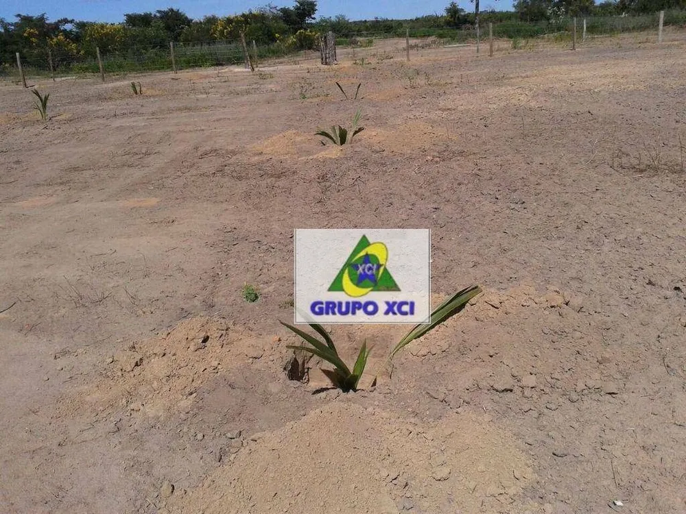 Fazenda, 7000 hectares - Foto 8