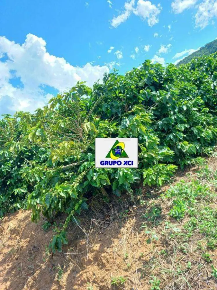 Fazenda, 126 hectares - Foto 4
