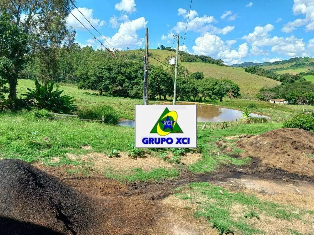 Fazenda, 126 hectares - Foto 8