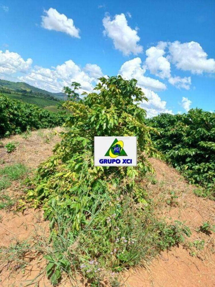 Fazenda, 126 hectares - Foto 2