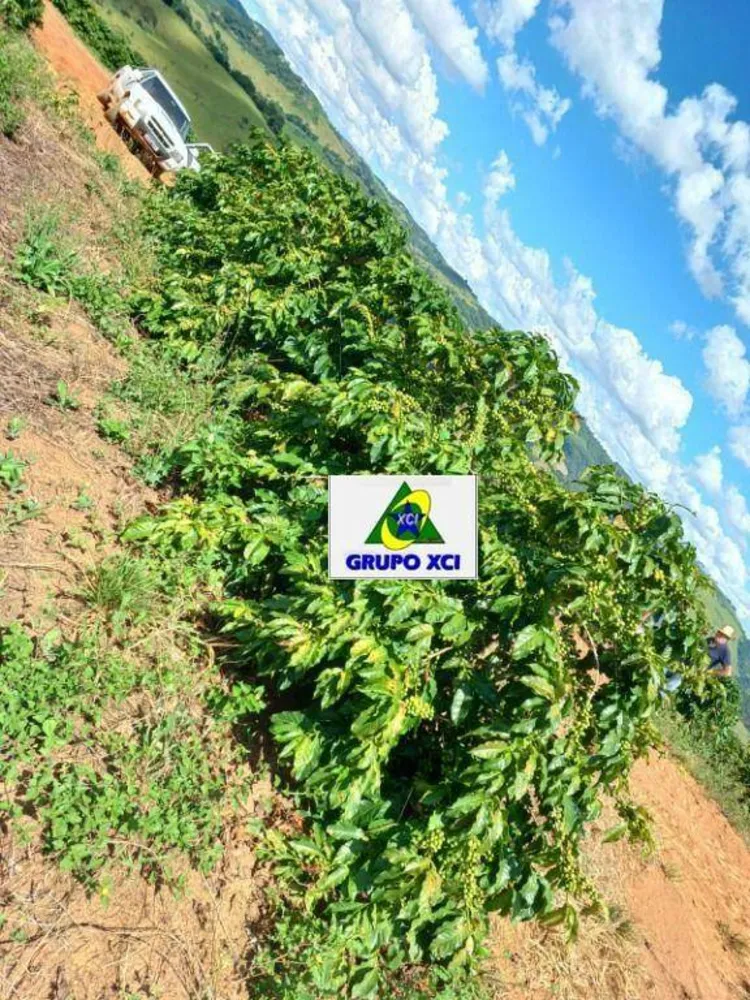 Fazenda, 126 hectares - Foto 2