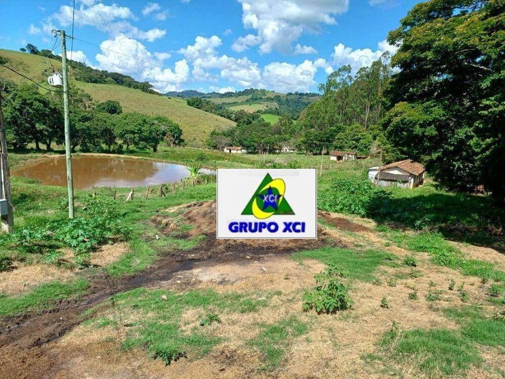 Fazenda, 126 hectares - Foto 3