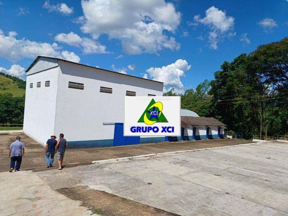 Fazenda, 126 hectares - Foto 8