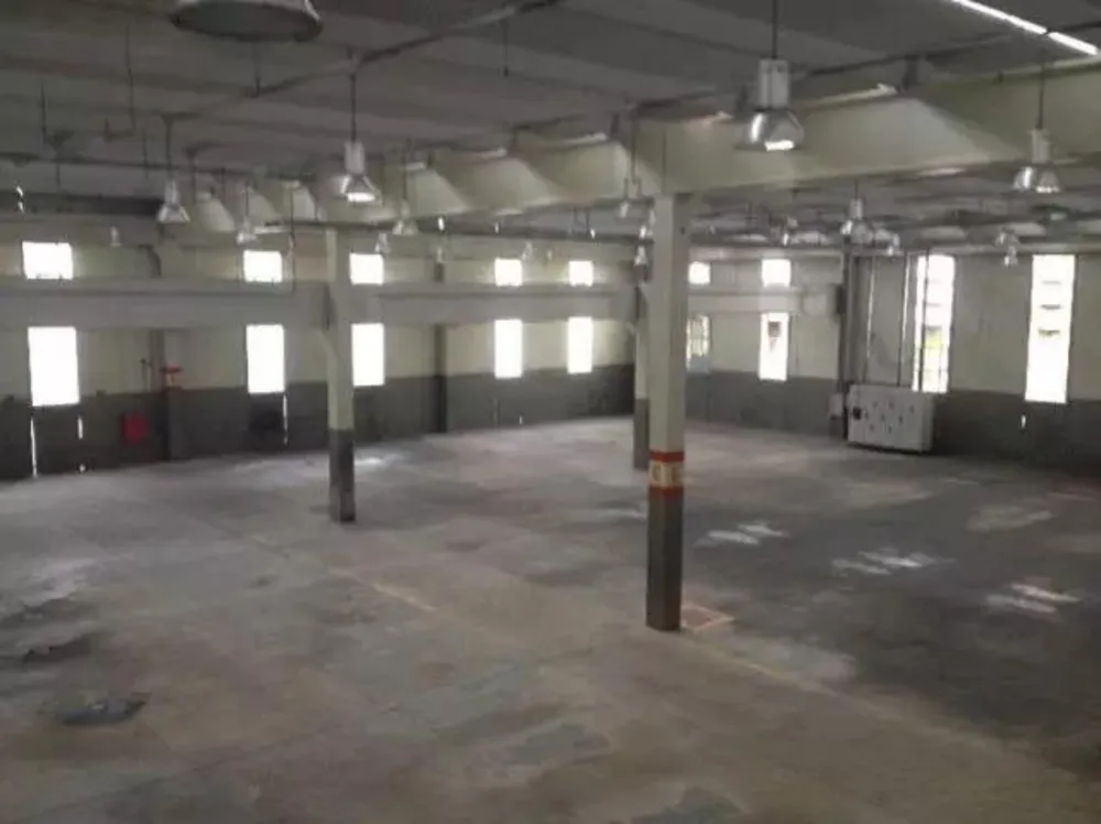 Depósito-Galpão, 5523 m² - Foto 4