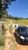 Fazenda, 169 hectares - Foto 4