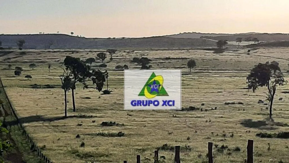 Fazenda, 1034 hectares - Foto 3