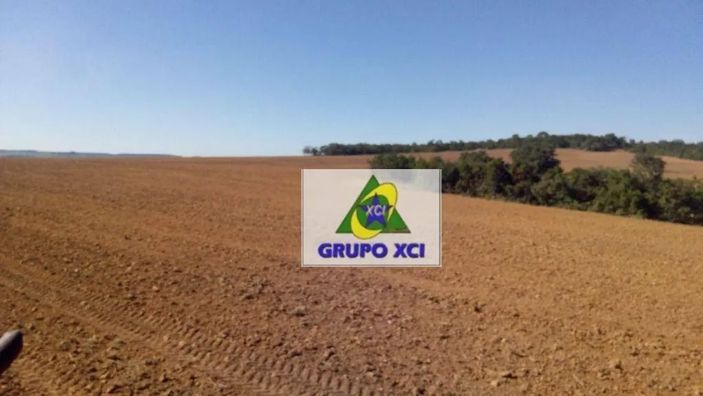 Fazenda, 1034 hectares - Foto 4