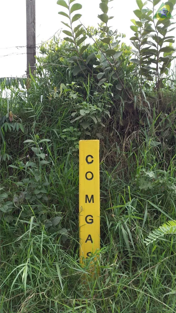 Terreno, 7 hectares - Foto 7