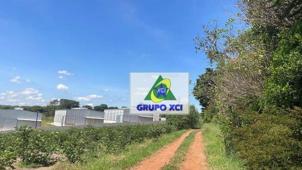Terreno, 2 hectares - Foto 1