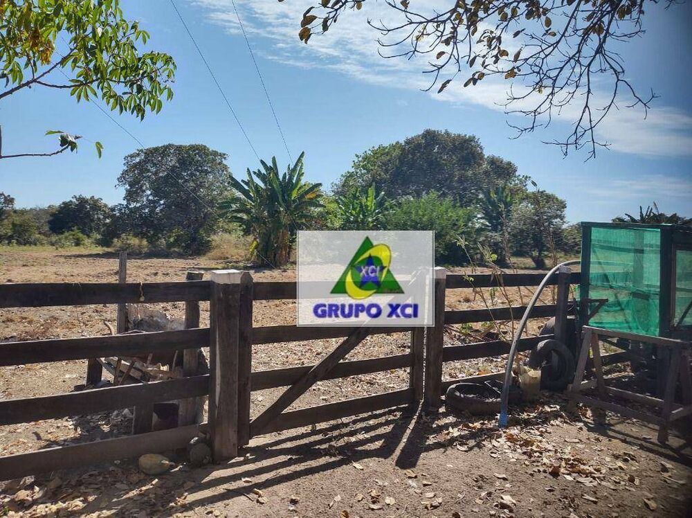 Fazenda, 14000 hectares - Foto 1