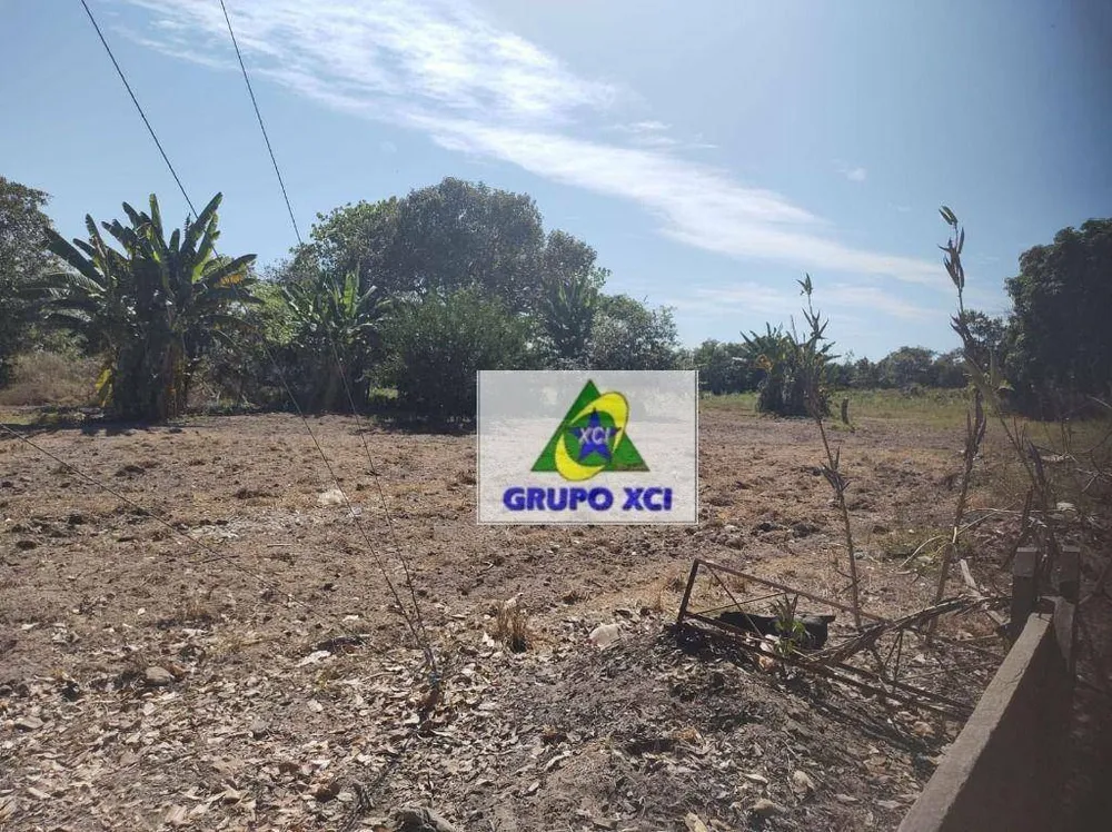 Fazenda, 14000 hectares - Foto 7