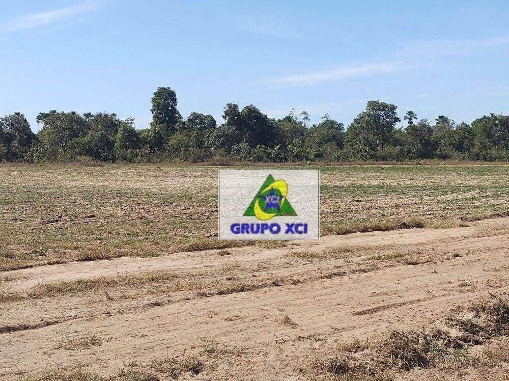 Fazenda, 14000 hectares - Foto 2