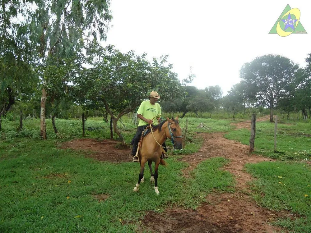 Fazenda, 1000 hectares - Foto 7