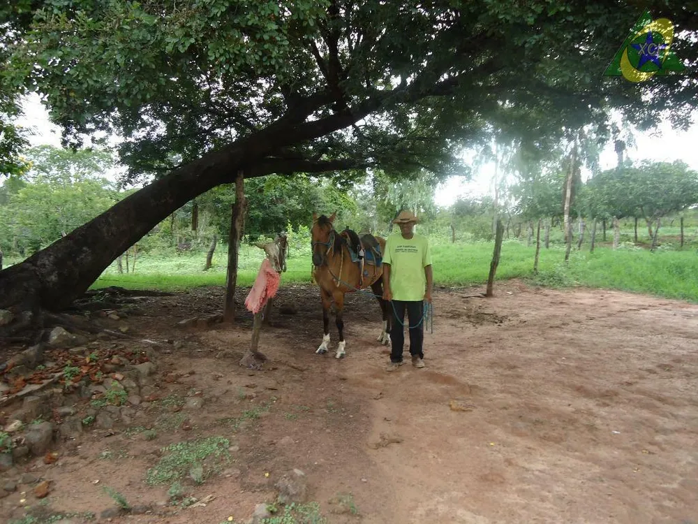 Fazenda, 1000 hectares - Foto 6