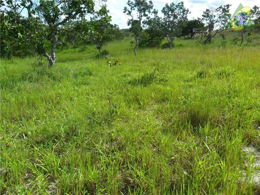 Fazenda, 1000 hectares - Foto 3