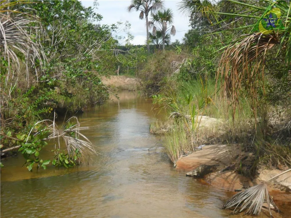 Fazenda, 1000 hectares - Foto 4