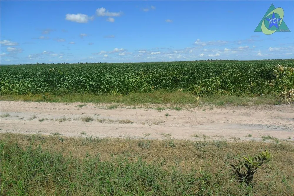 Fazenda, 1000 hectares - Foto 2
