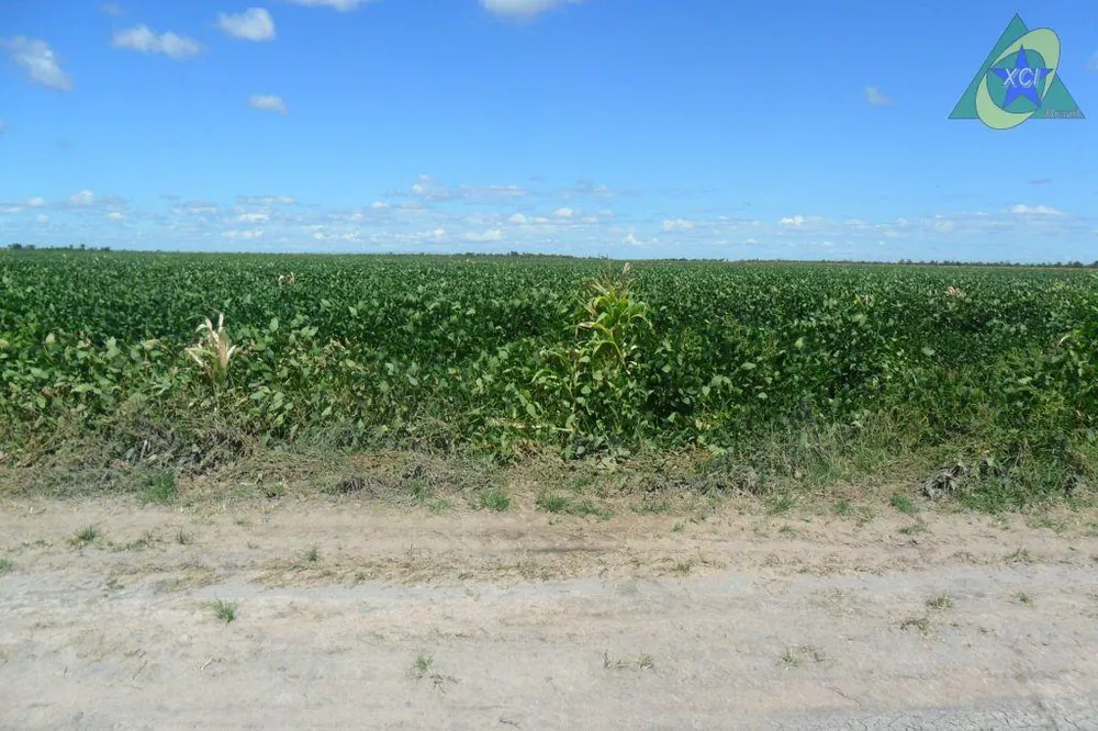 Fazenda, 1000 hectares - Foto 1