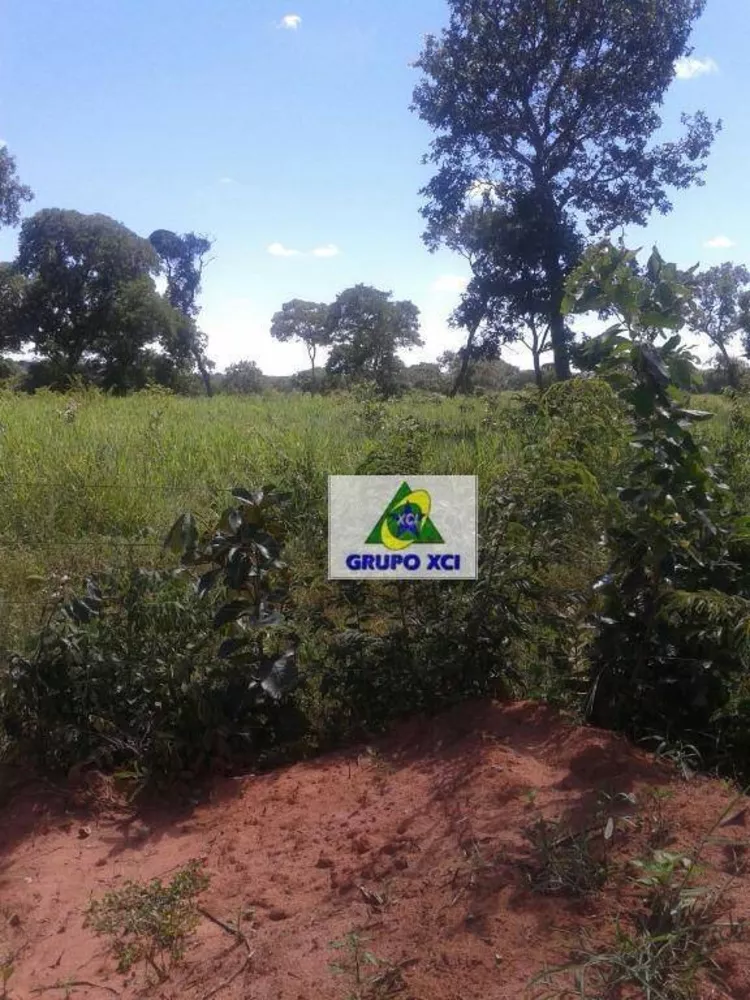 Fazenda à venda, 63000000M2 - Foto 8