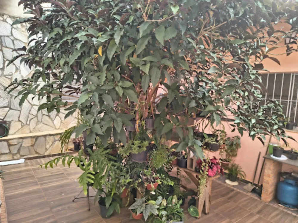 Casa, 2 quartos, 230 m² - Foto 10