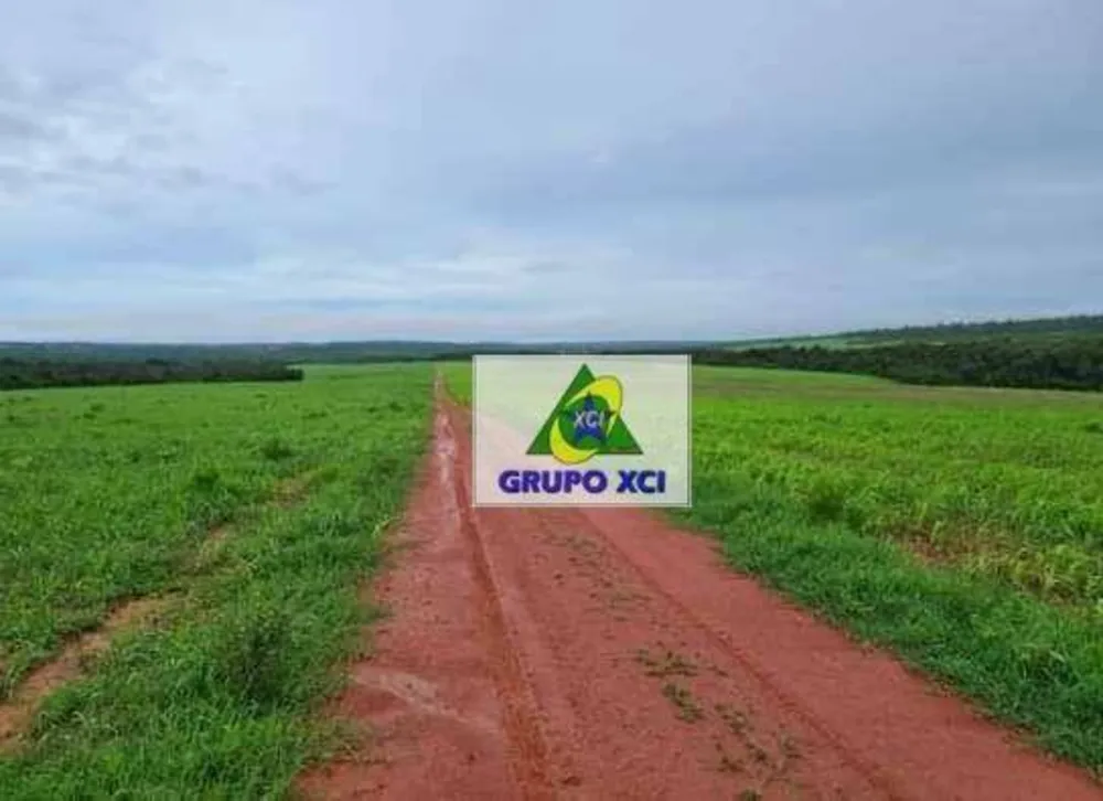 Fazenda, 1800 hectares - Foto 11