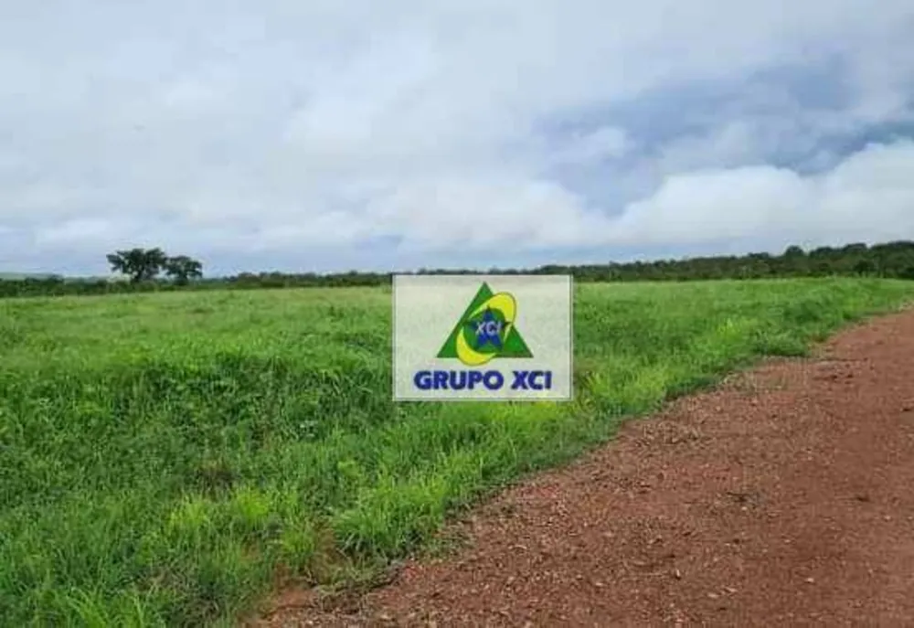 Fazenda, 1800 hectares - Foto 7
