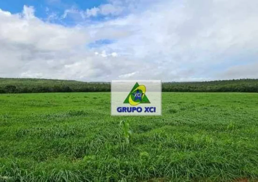 Fazenda, 1800 hectares - Foto 8