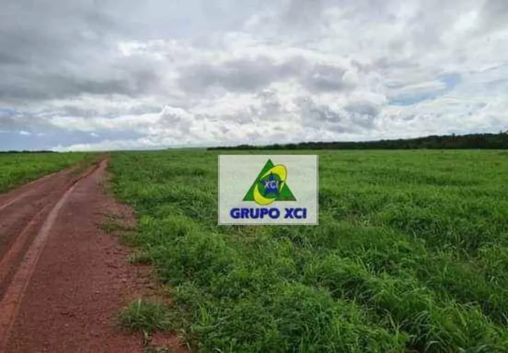 Fazenda, 1800 hectares - Foto 10
