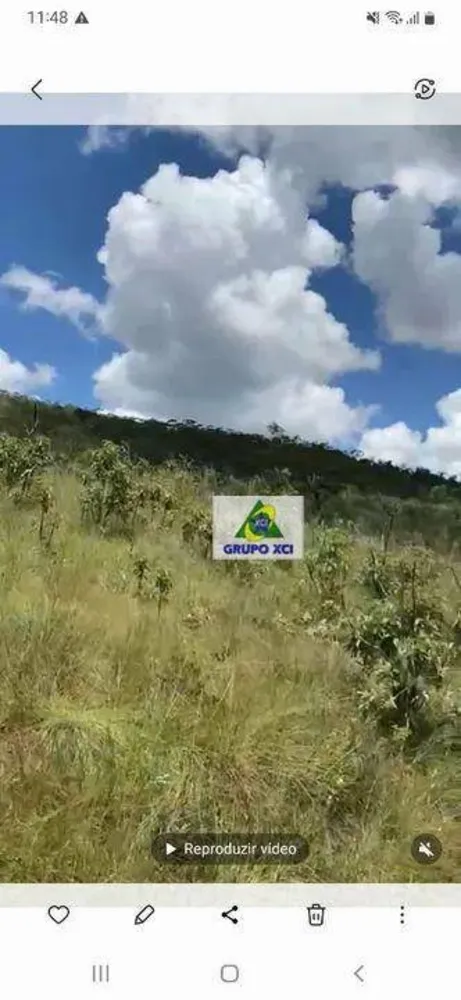 Fazenda, 36 hectares - Foto 6