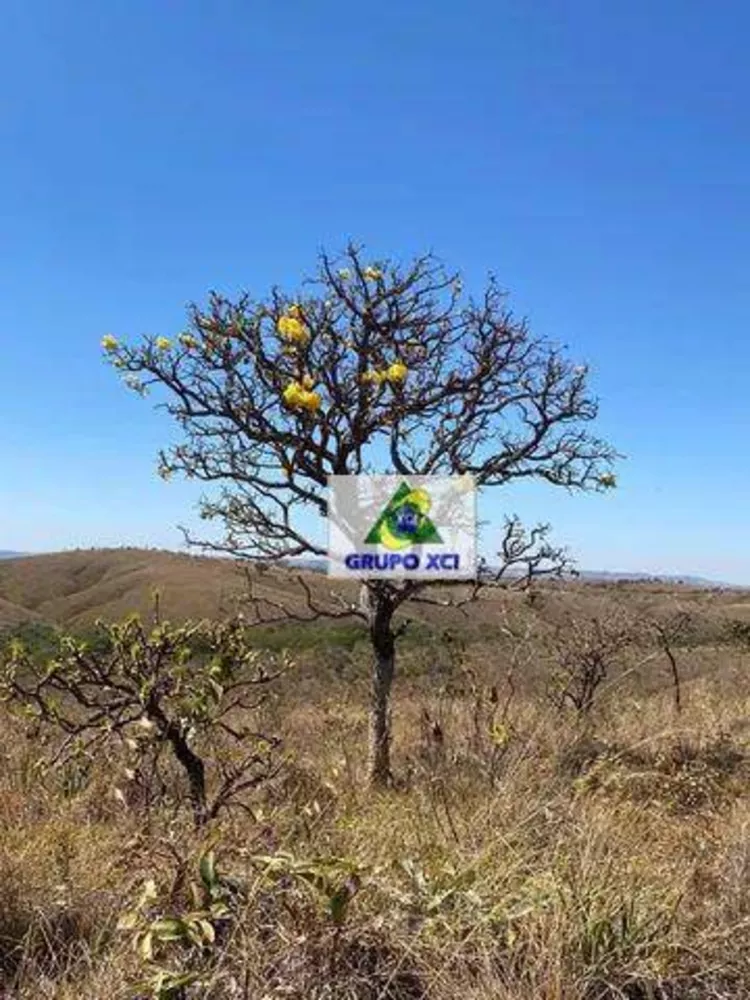 Fazenda à venda, 3030000M2 - Foto 4