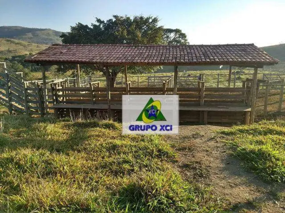 Fazenda, 116 hectares - Foto 11