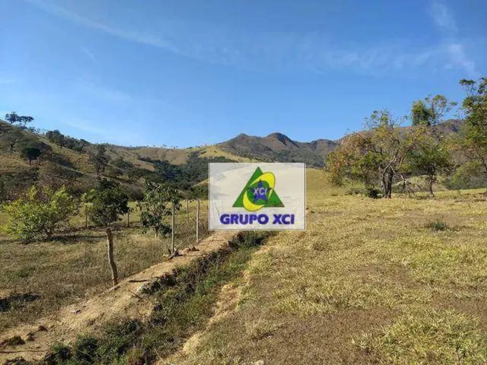 Fazenda, 116 hectares - Foto 9
