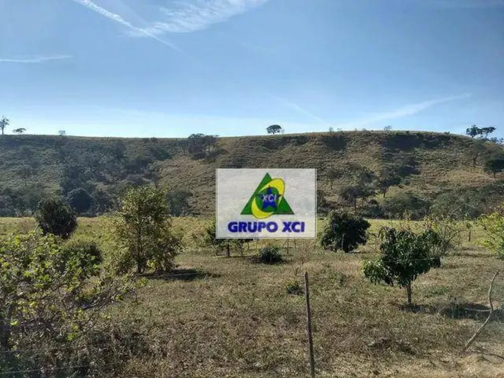 Fazenda, 116 hectares - Foto 8