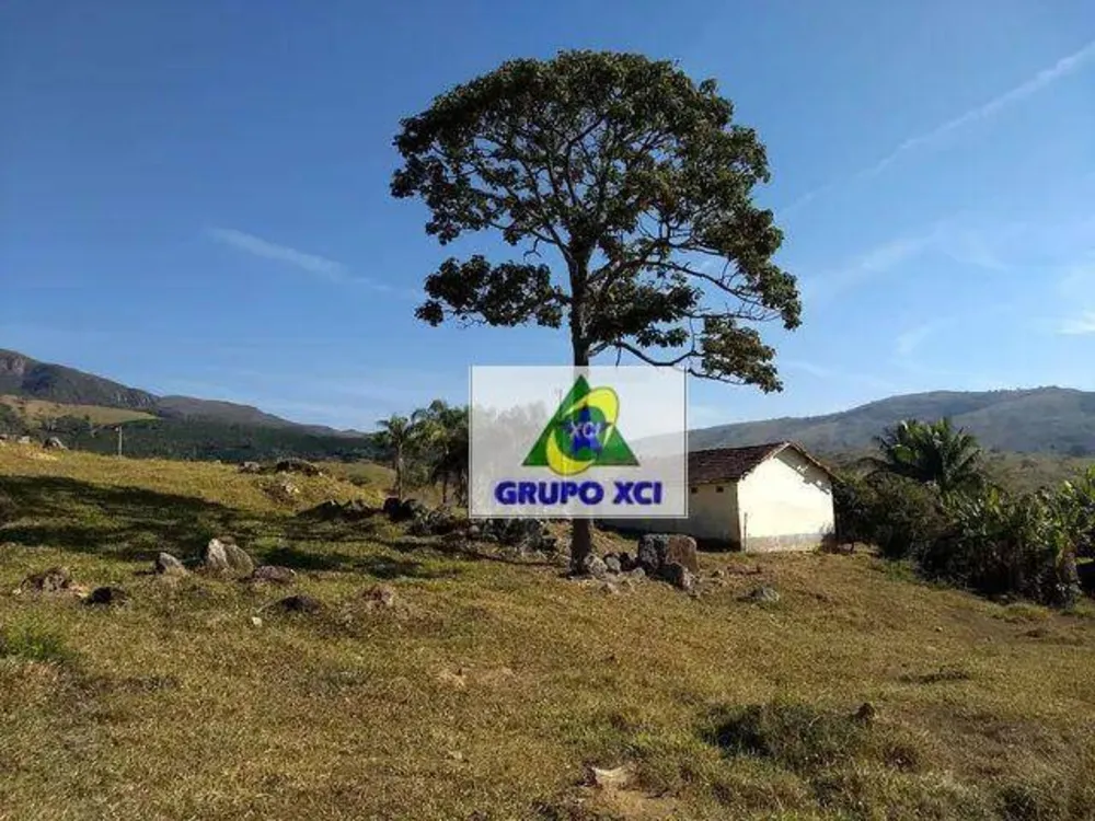 Fazenda, 116 hectares - Foto 10