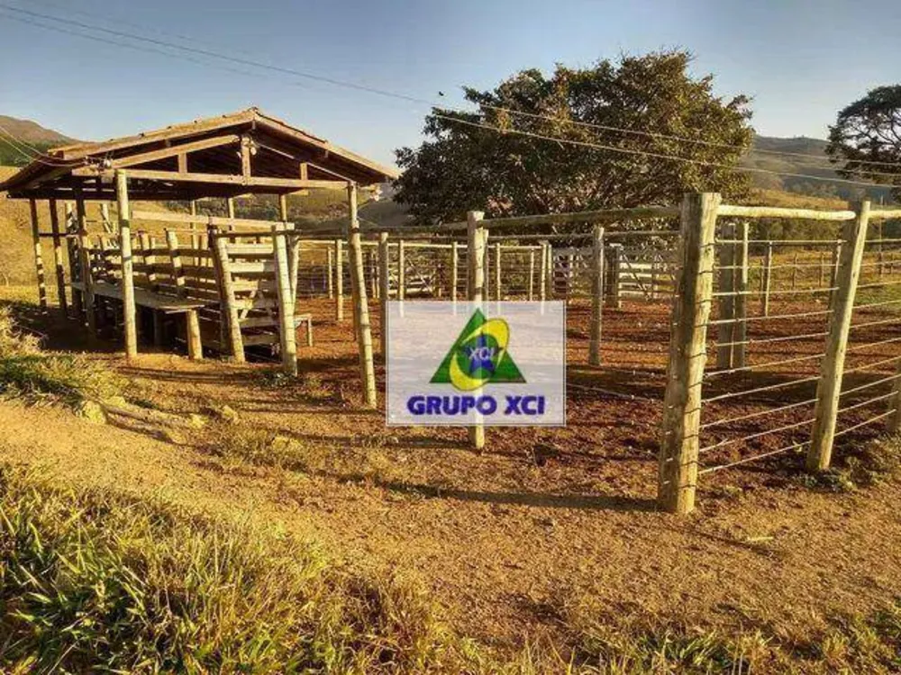 Fazenda, 116 hectares - Foto 12