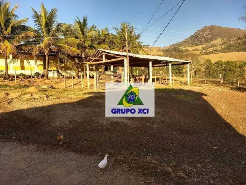 Fazenda, 116 hectares - Foto 6
